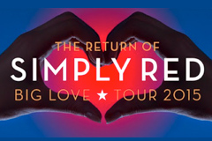 Simply VIP story